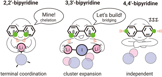 Ligand geometry-dependent coordination of alkali halide cluster ions by bipyridine isomers in the gas phase (PCCP, 2026)